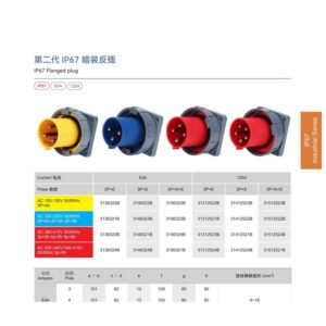 IP67 2nd Gen Flanged Plug 63A/125A